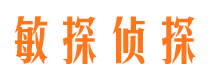 莲花市私家侦探